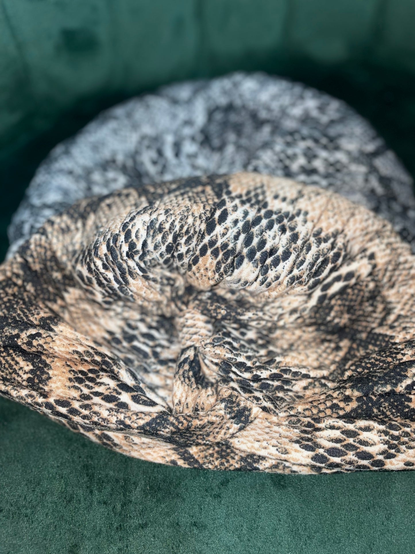 Snake Skin turban